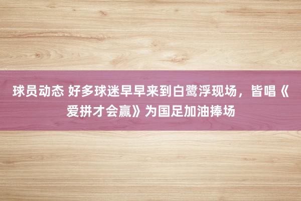 球员动态 好多球迷早早来到白鹭浮现场，皆唱《爱拼才会赢》为国足加油捧场