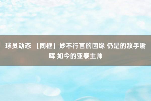 球员动态 【同框】妙不行言的因缘 仍是的敌手谢晖 如今的亚泰主帅